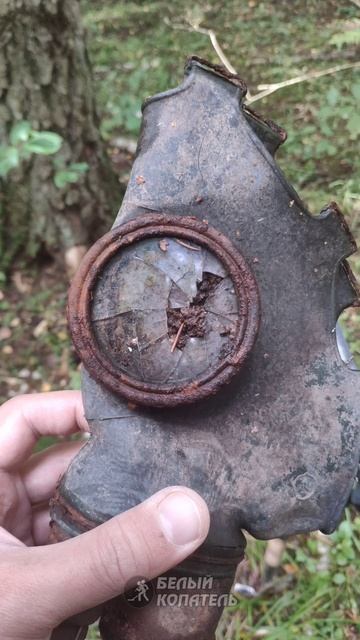 Неожиданная лесная находка, откуда она здесь? смотреть онлайн