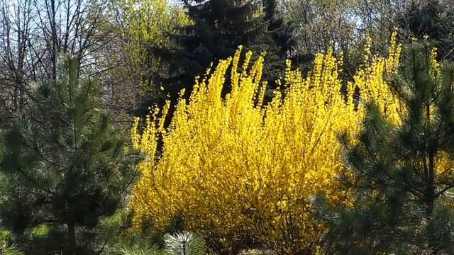 Клятва 333 - 334 серия русская озвучка | Анонс и Дата выхода смотреть онлайн