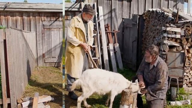 Кадры из фильма Жили-были смотреть онлайн
