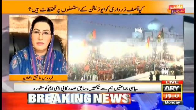 Does Asif Zardari have reservations about the resignations of the opposition? смотреть онлайн