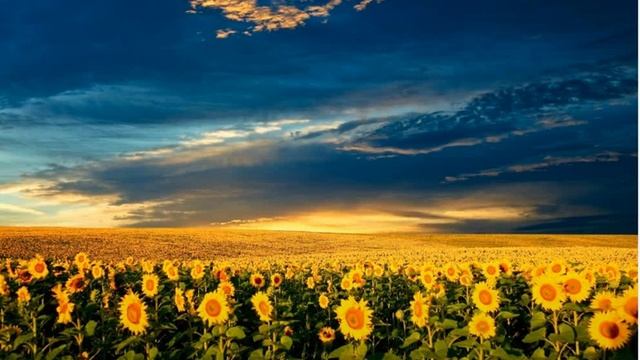 А що там за лісом Сухомлинський Сказки на ночь Казки на ніч