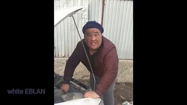 Казахские мемы смотреть онлайн