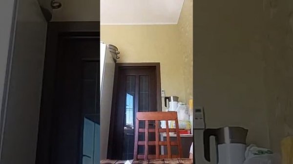 обзор на микрофон VE-855