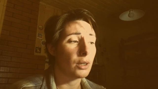 Марк Твен «Приключения Гекльберри Финна» глава 2 часть 2 смотреть онлайн