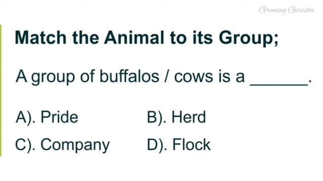 IEO International English Olympiad Class 1 смотреть онлайн