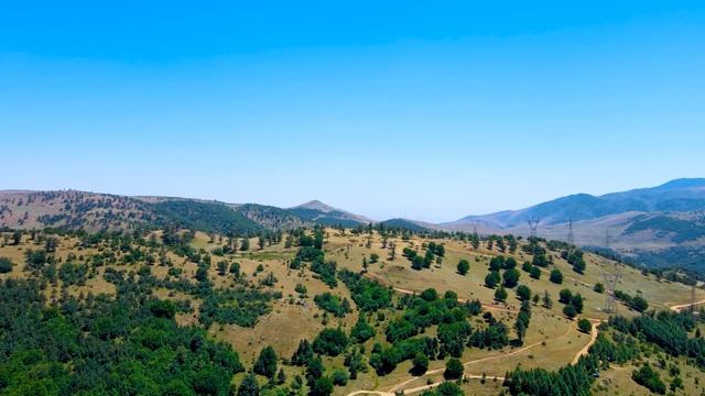 Жизнь деятельная и созерцательная / Добротолюбие, избранное для мирян