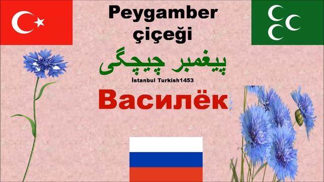 Турецкий язык: Çiçekler = Цветы смотреть онлайн
