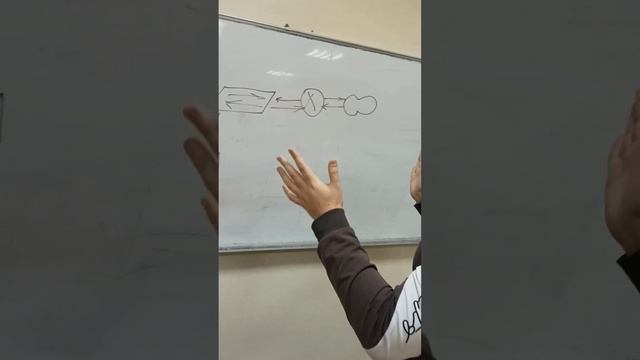 Информационные системы и технологии