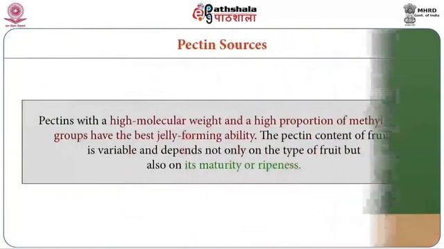 Food polysaccharides 3 pectin and other gums смотреть онлайн