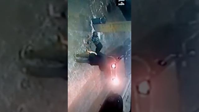 Баба отжимается от пола за деньги на дороге прикол смотреть онлайн