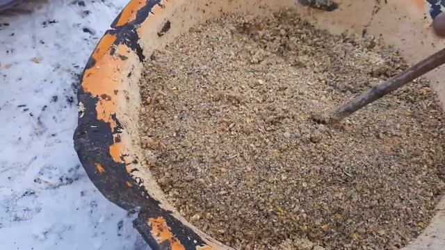 Товукларга кандей дон берса тухум купрок Тухум килади смотреть онлайн