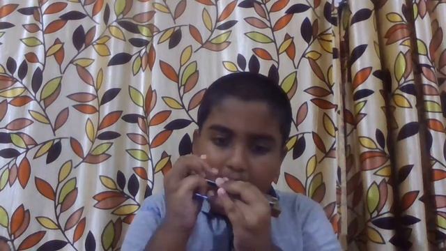 Hora Staccato || Harmonica|| by Sashreek Sarkar смотреть онлайн