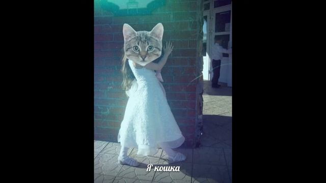 Да это МОЁ фото )0) Это ЯШкА СлАйДЫ опять! смотреть онлайн