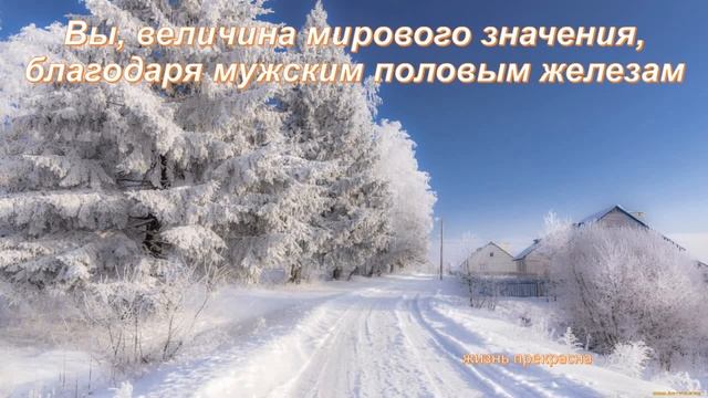 мудрые фразы из "Собачье сердце" смотреть онлайн