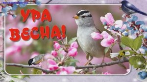 С Первым Днём Весны! Весеннее пожелание!