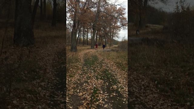 Унылая пора! Очей очарованье! смотреть онлайн