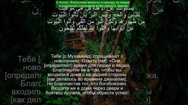 Коран Сура Аль-Бакара | 2:189 | Чтение Корана с русским переводом | #рамадан2024 #quranru смотреть онлайн