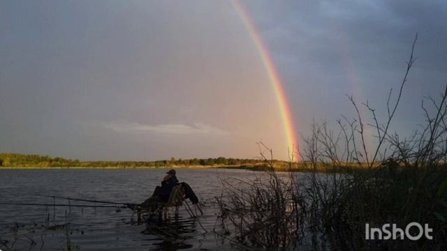 Контрольный диктант по белорусскому языку, 9 класс. Кантрольны дыктант па беларускай мове, 9 клас смотреть онлайн