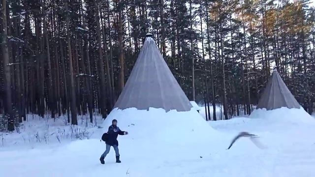 Соколиная охота смотреть онлайн