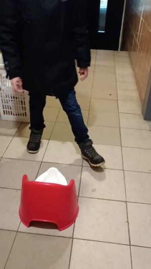 скибиди туалет