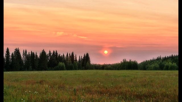 О Баженова Не бойся, я тебя найду #лириканародакоми#поэтынародовроссии#стихиолюбви смотреть онлайн