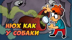 Что если трансплантировать нос собаки человеку？