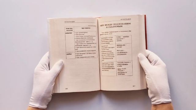 Русский язык для школьников. Вся грамматика на "5" смотреть онлайн