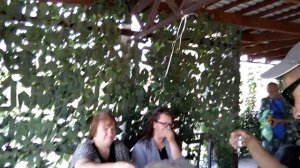 Один день из жизни парапланериста- маршрутчика.