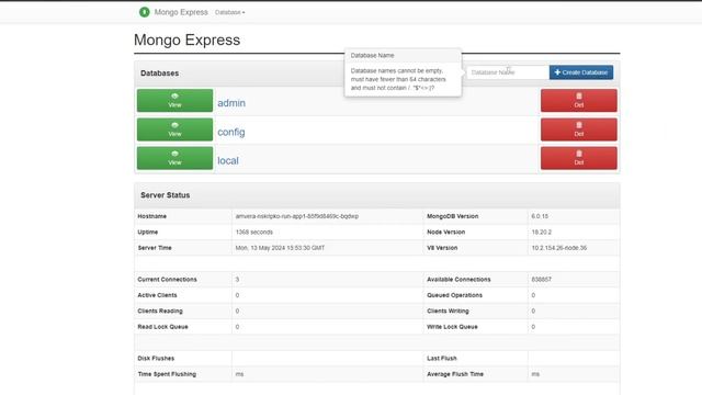 Как использовать MongoDB и Mongo Express в Amvera Cloud