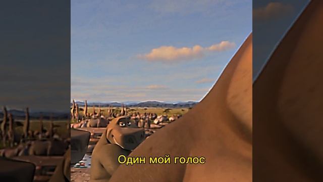 Люблю больших, люблю... Мото-мото флиртует | Мадагаскар #flirting #madagascar #whatsappstatus #cool