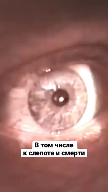 Чем советские граждане заменяли алкоголь во времена сухого закона #история #ссср #факты #shorts смотреть онлайн