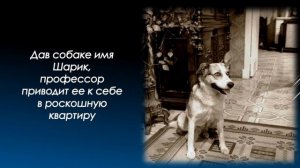 Буктрейлер Собачье сердце