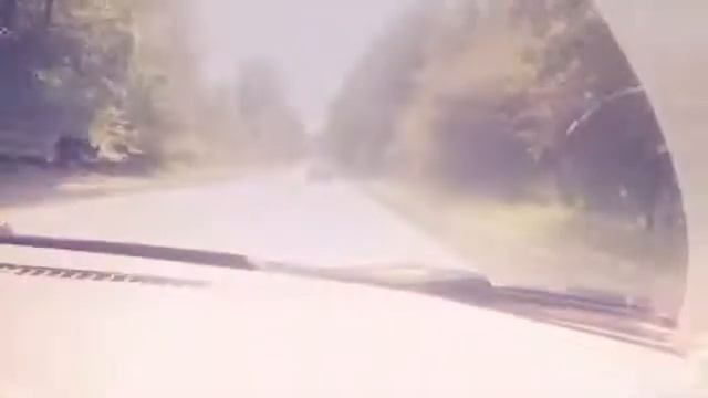 Vlog как я еду на шашлык смотреть онлайн