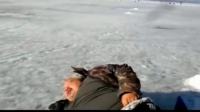 Funny videos Funny cats 1 Смешное видео Смешные приколы 1 смотреть онлайн