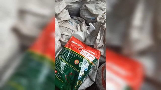 Уборка курятника смотреть онлайн