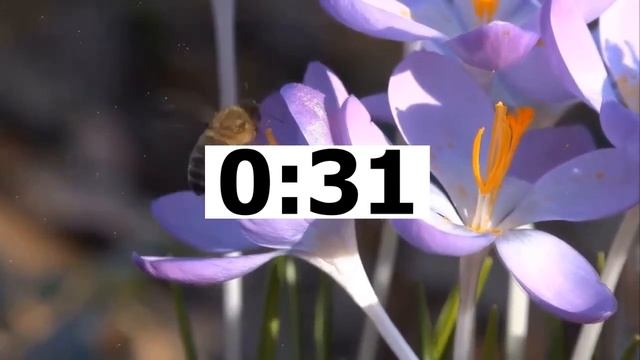 Английский ЕГЭ Говорение Task 3 A HEALTHY LIFESTYLE 05 (Громова) смотреть онлайн