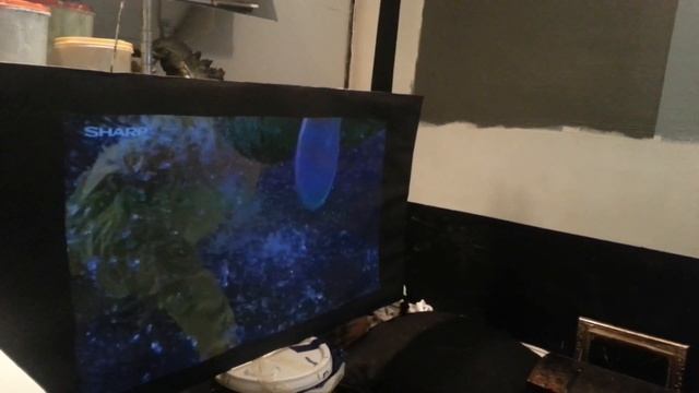 DIGITAL4K CRYSTAL ONYX TRUE BLACK PROJECTOR SCREEN! смотреть онлайн