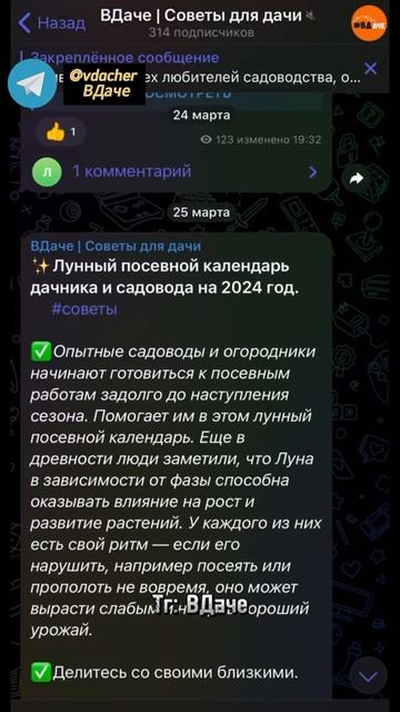 Петрушка и укроп взойдут в два раза быстрее благодаря этому способу 🤫#дача #сад #огород смотреть онлайн