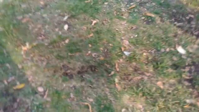 Блмбящий школьник играет в футбол