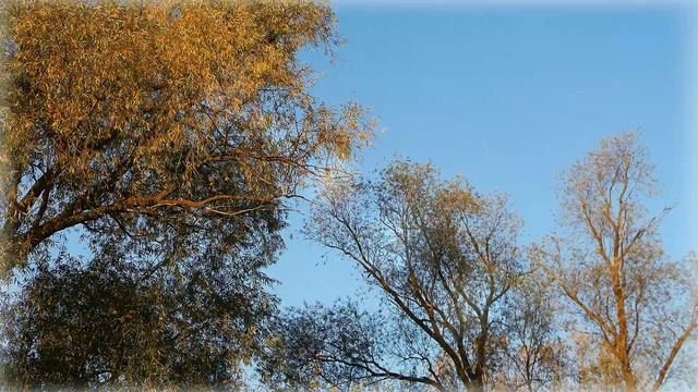 Золотая осень. Музыка Андрей Обидин "Листопад". Очень красивая и душевная мелодия. смотреть онлайн