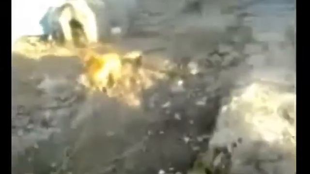 Монтаж видео школьников/ #1 смотреть онлайн
