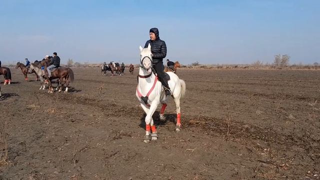 ОК БОРИ НОДИР АКАНИ ОТИ КАРМАК смотреть онлайн