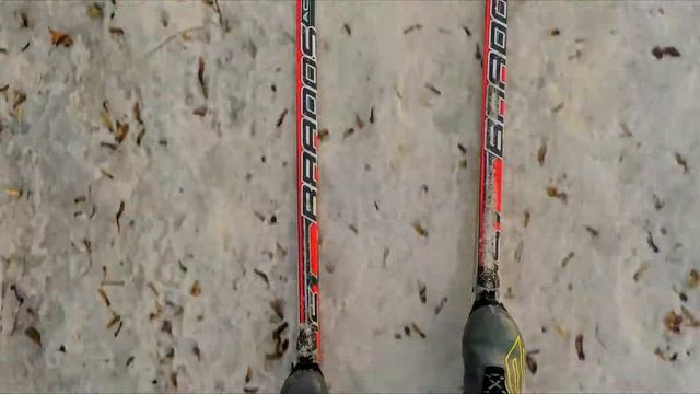 Беговые лыжи в голосеевском лесу 2019 смотреть онлайн