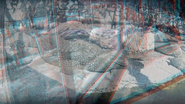 Gelendzhik 2020 смотреть онлайн