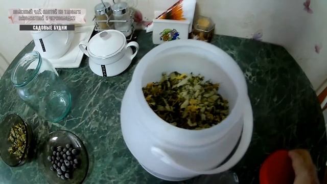Полезный чай из таволги вязолистной и черноплодки смотреть онлайн