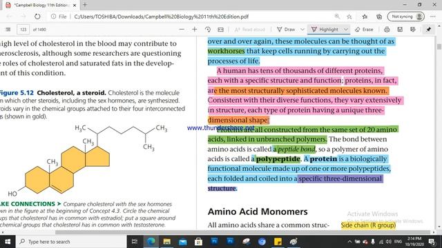 Chapter 5 : Macromolecules 3, Proteins 1 смотреть онлайн