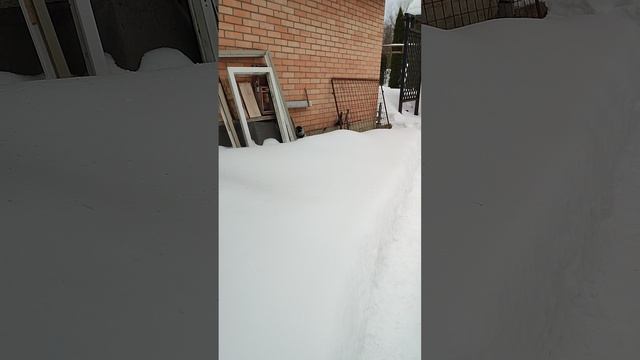 28-01-2025 смотреть онлайн