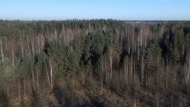 Живая картинка. смотреть онлайн