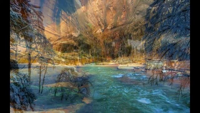 Живая природа смотреть онлайн