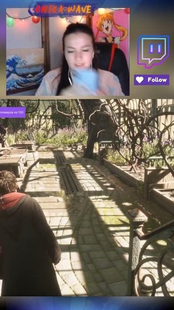 Охота на сов на французском, занятный перевод/Hogwarts Legacy #shorts #short